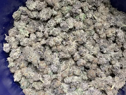 A tub of cured Treehouse Farms buds